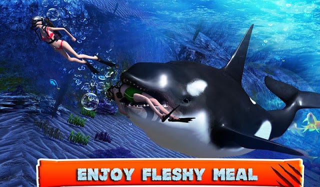 Killer Whale Beach Attack 3D截图4