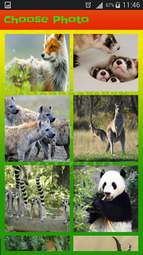 Wild Animals Pictures Puzzle截图4