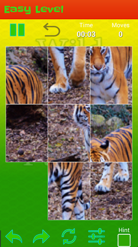 Wild Animals Pictures Puzzle截图5