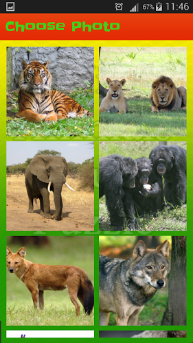 Wild Animals Pictures Puzzle截图3