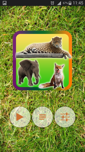 Wild Animals Pictures Puzzle截图2