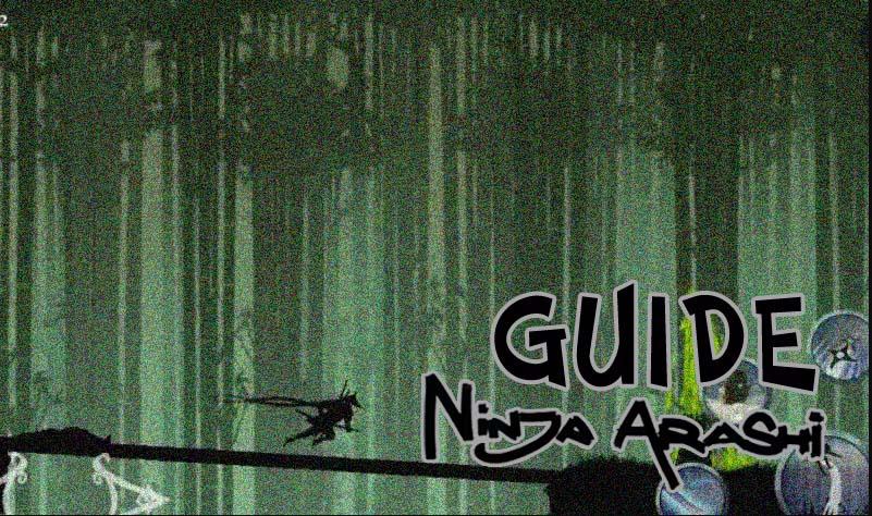 Guide for Ninja Arashi截图3