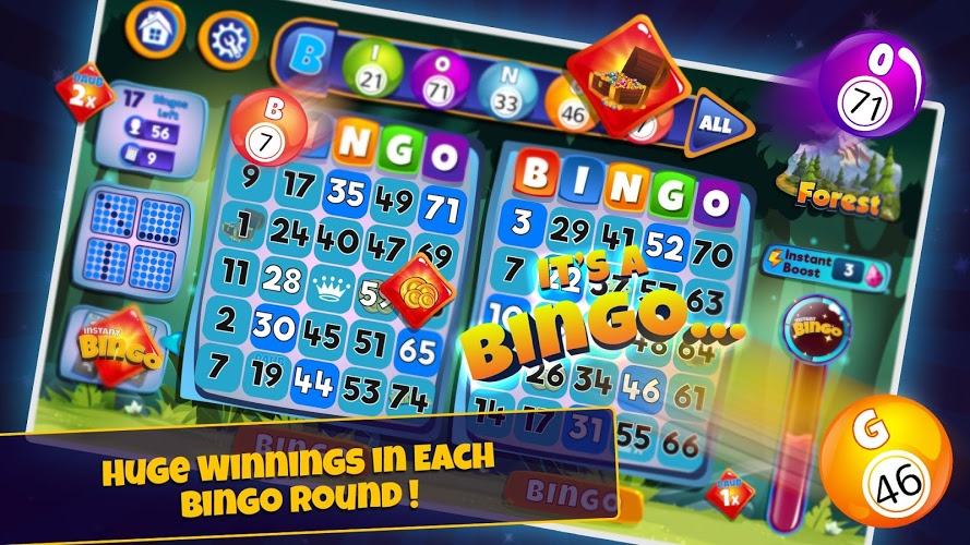 Online Bingo Hall-Card Players截图2