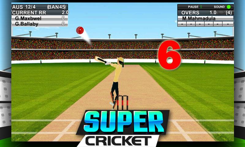 Super Cricket Championship截图1