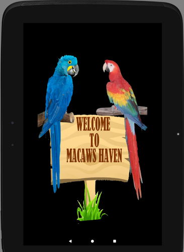 Parrots 3 game puzzle截图2