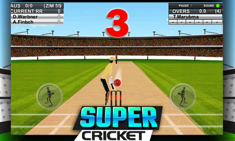 Super Cricket Championship截图2