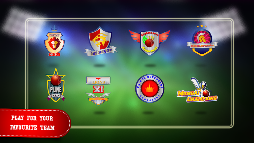 T20 Cricket Premier League截图2