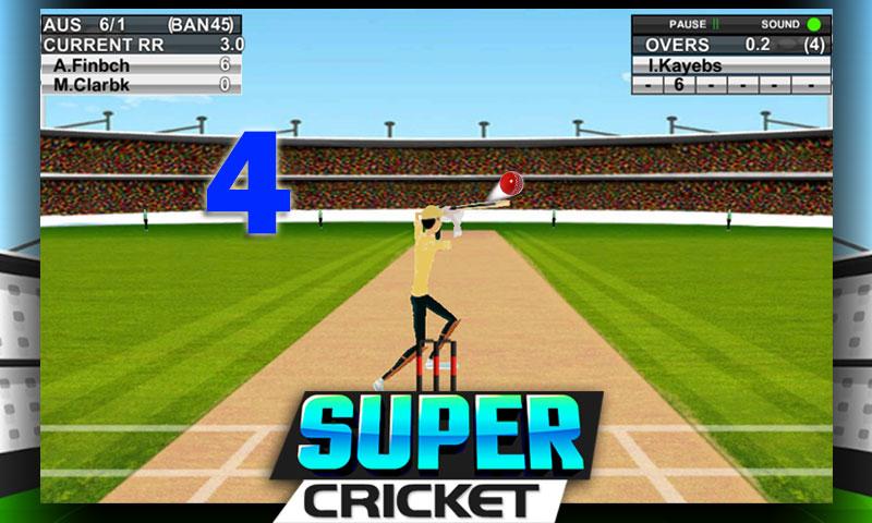 Super Cricket Championship截图5