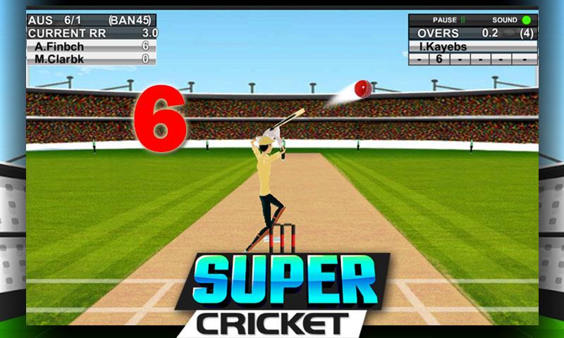 Super Cricket Championship截图3