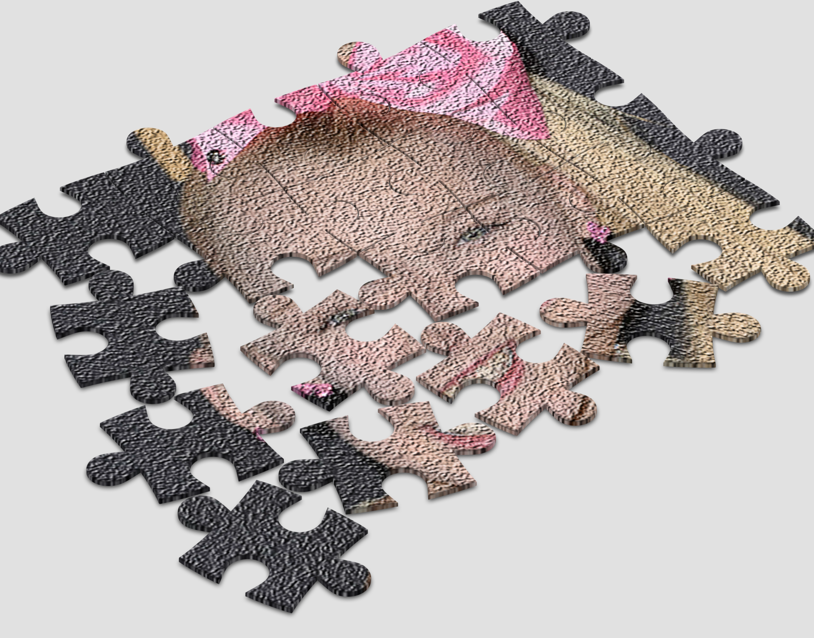 Jigsaw Puzzle for Jojo Siwa截图3