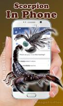 Scorpion on screen run in phone prank截图1