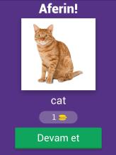 Hayvan Bilmece - İngilizce截图5