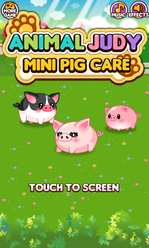 Animal Judy: Mini Pig care截图1