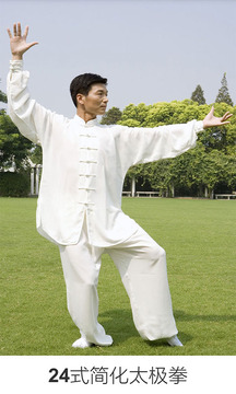 24式简化太极拳下载安卓最新版_24式简化太极