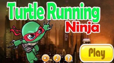 Turtles Running Ninja截图1