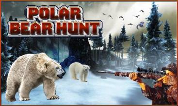 北极熊狩猎截图1