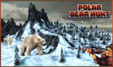 北极熊狩猎截图2
