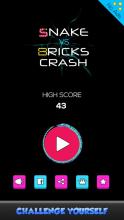 Snake vs Bricks Crash截图1