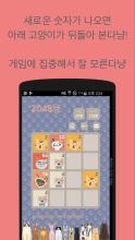 2048냥截图3