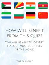 Guess the Country Flag - Test Your Geography截图3