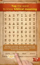 Word Search Bible + christian截图2