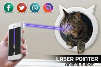 Laser Pointer Animal截图4