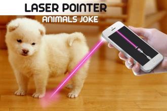 Laser Pointer Animal截图1