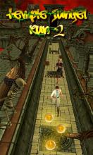 Temple Jungle Run 2截图2