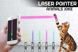 Laser Pointer Animal截图2