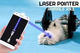 Laser Pointer Animal截图3