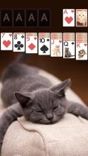 Solitaire Cute Cats Theme截图1