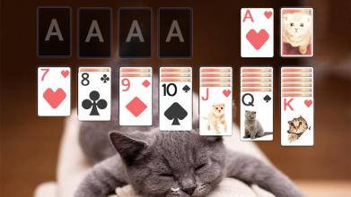 Solitaire Cute Cats Theme截图3