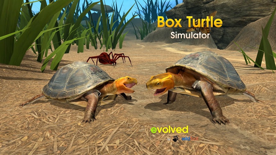 Box Turtle Simulator截图1