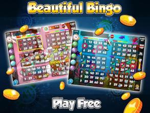 Free Bingo Casino by BingoDab截图1