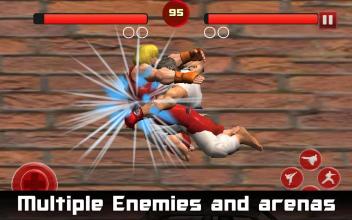 Karate Fighter - Taekwondo Kung fu Tiger Combat 3D截图4