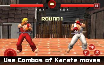 Karate Fighter - Taekwondo Kung fu Tiger Combat 3D截图1