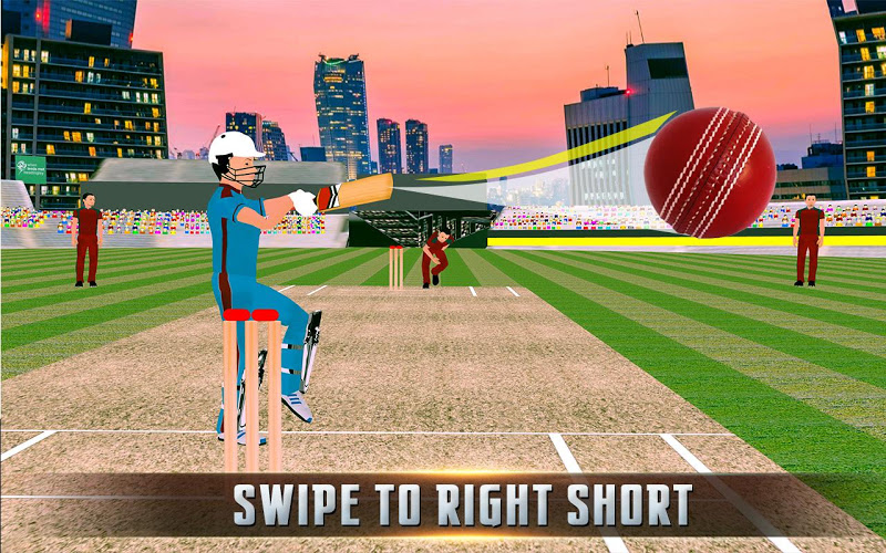 Play Cricket 2017截图3