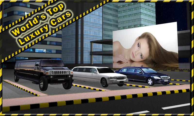 轿车停车3D LimousineParking3D截图1