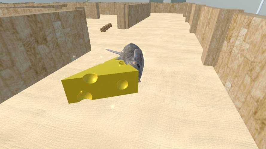 鼠标逃脱3D迷宫迷宫截图4
