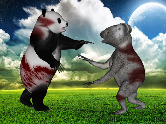 Panda Koala War截图1