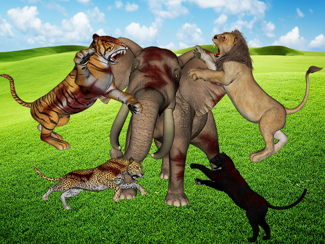 Safari Hunting Animal War截图2