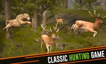 African Safari Hunting Experience 3D截图4