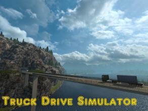 Truck Drive Simulator截图1