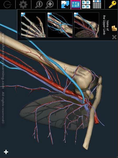 3D解剖学习截图4