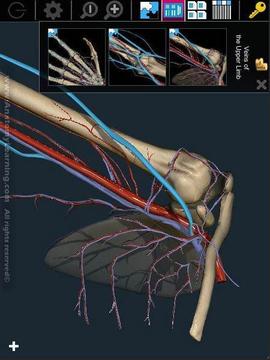 3D解剖学习截图