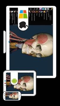 3D解剖学习截图