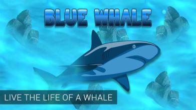 Blue Whale Shark Hunting Simulator 3d截图1