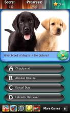 Dog Breeds Quiz HD截图2