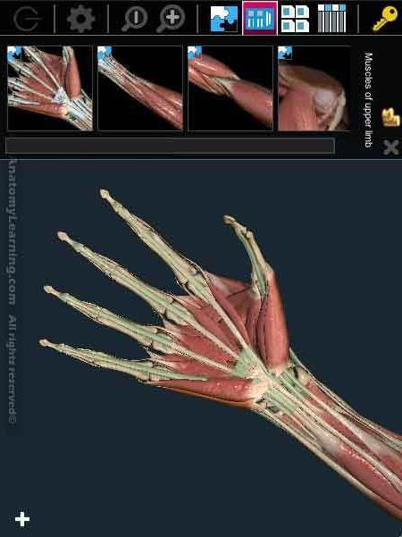 3D解剖学习截图3