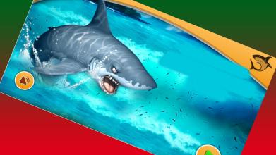 3D Shark Attack Simulator截图3